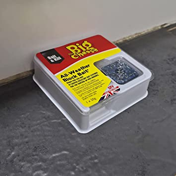 Big Cheese Block Bait Mouse Killer Station 2pk